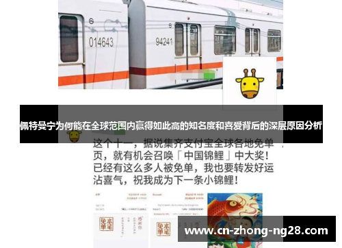 佩特曼宁为何能在全球范围内赢得如此高的知名度和喜爱背后的深层原因分析