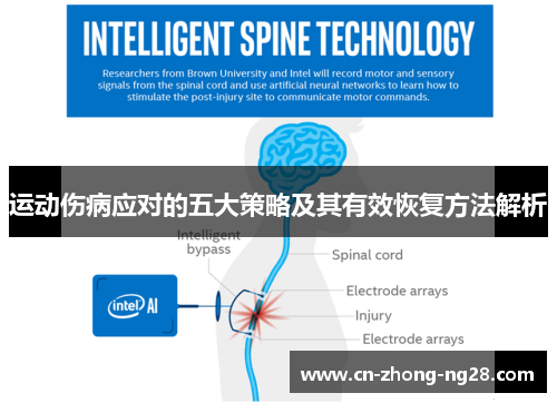 运动伤病应对的五大策略及其有效恢复方法解析 运动伤病应对的五大策略及其有效恢复方法解析
