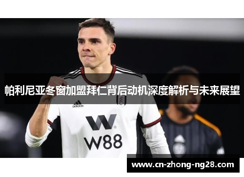 帕利尼亚冬窗加盟拜仁背后动机深度解析与未来展望